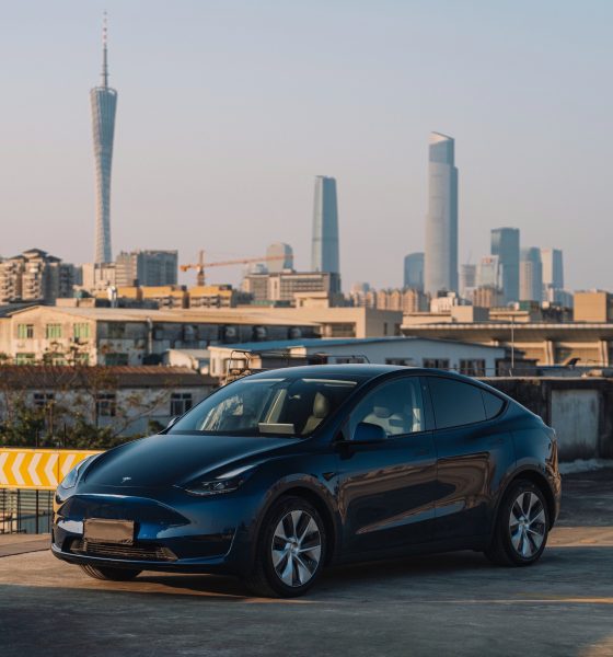 tesla model y china