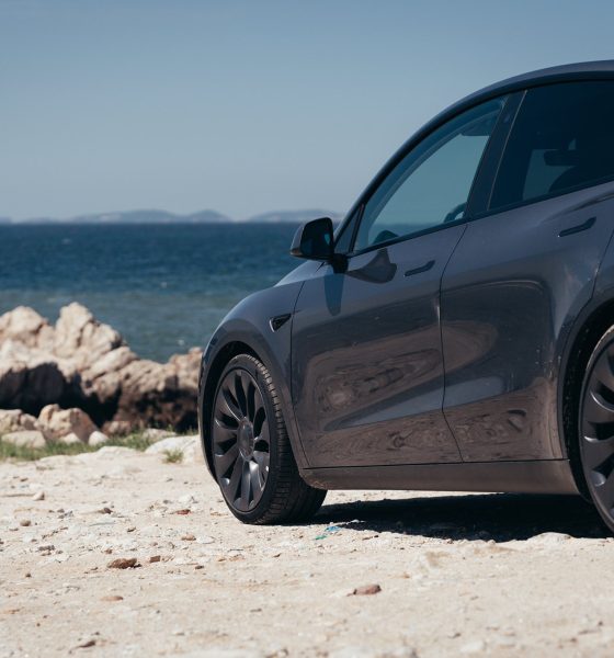 tesla-model-y-rear-profile