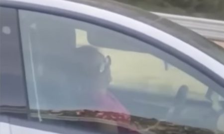 tesla driver sleeping