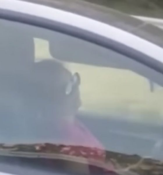 tesla driver sleeping