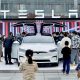 Tesla china