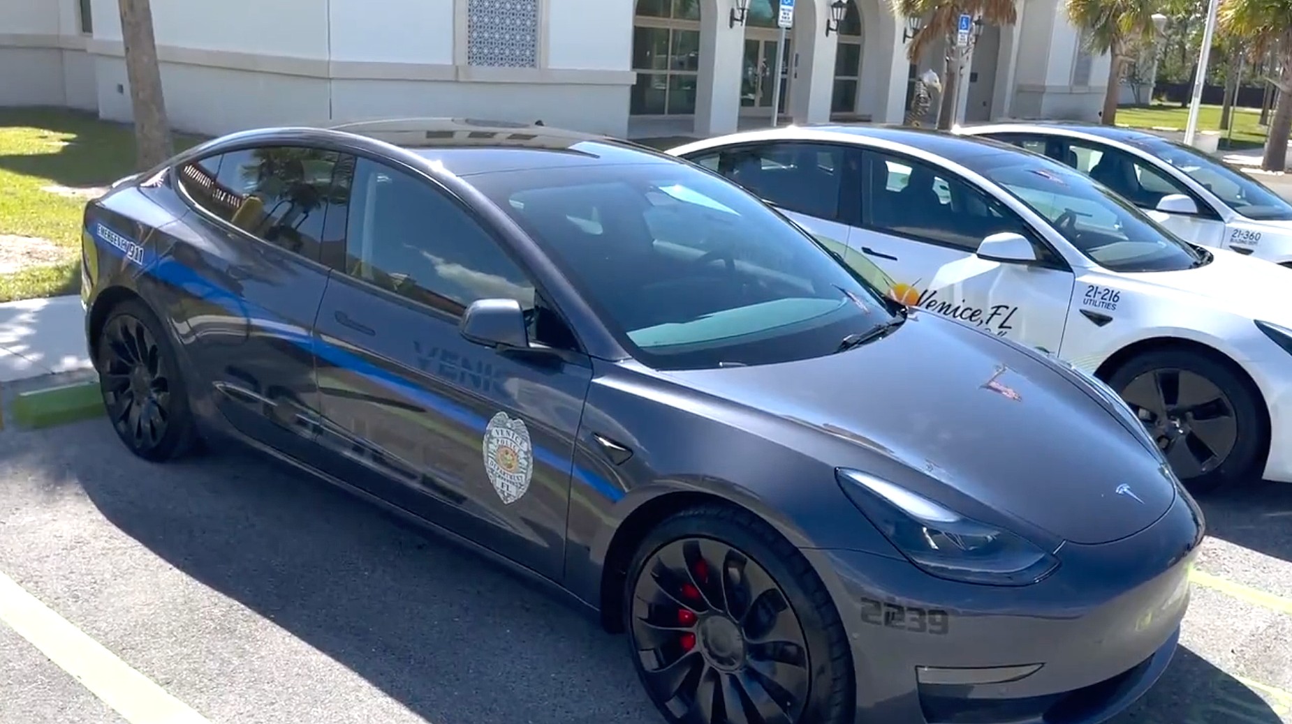 tesla model 3 police cruiser