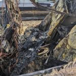 tesla model x crash