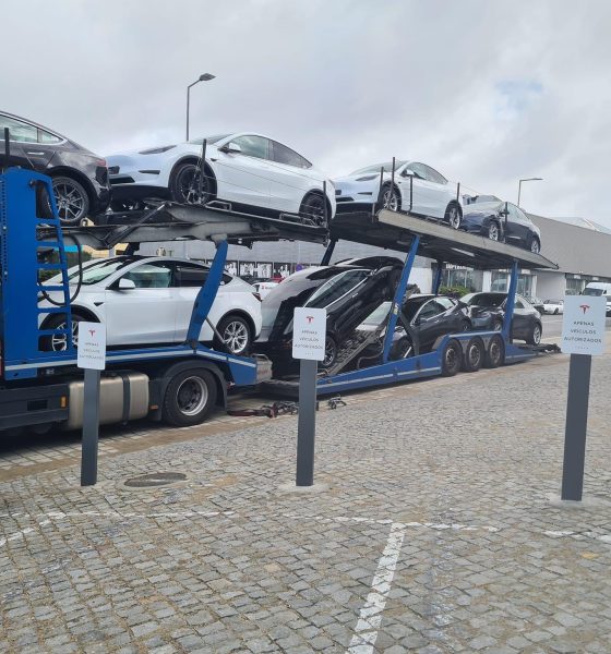 Tesla Deliveries