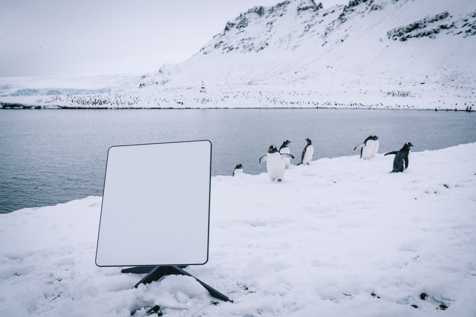 Elon Musk’s Starlink launches global roaming service