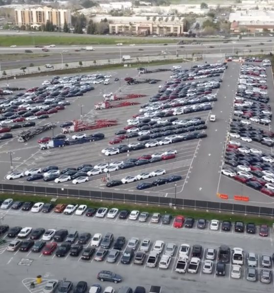 tesla fremont q1 2023