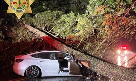 tesla model 3 smashed by tree