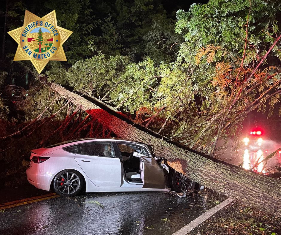 tesla model 3 smashed by tree