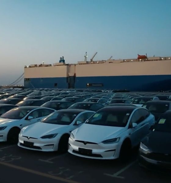 tesla deliveries china