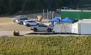 Tesla Cybertruck