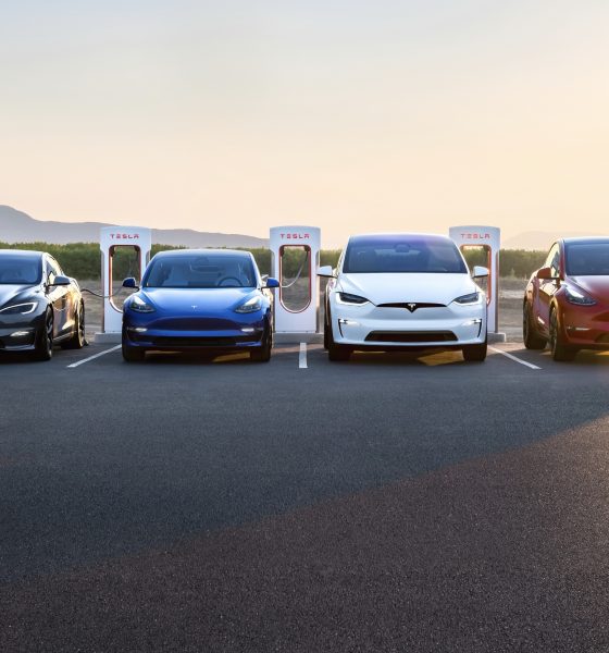 tesla-robotaxi-launch-date-ark-invest