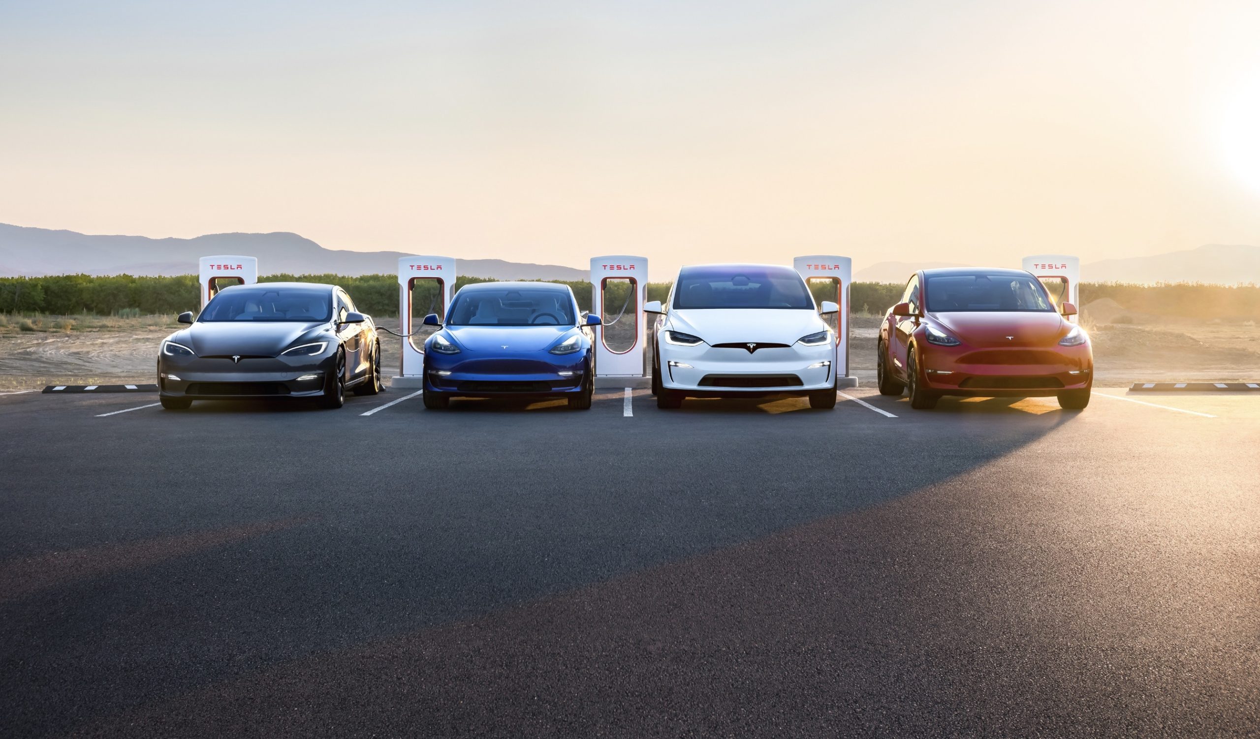 Tesla robotaxi fleet launch date ark invest