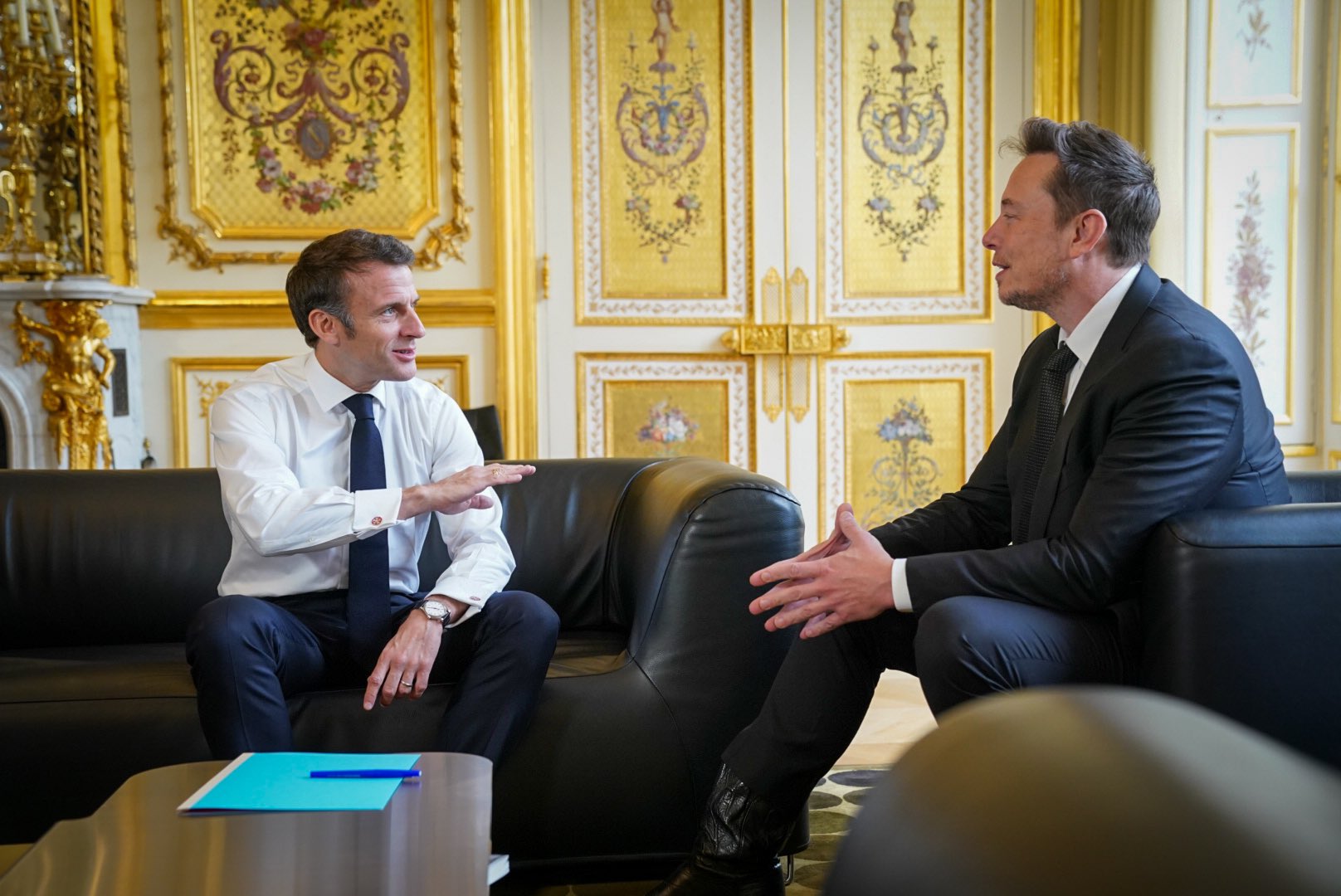 Elon Musk courted by French president as Tesla eyes global expansion