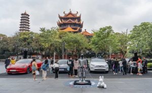 Tesla China