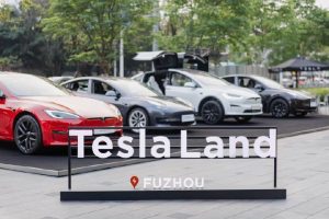 Tesla China