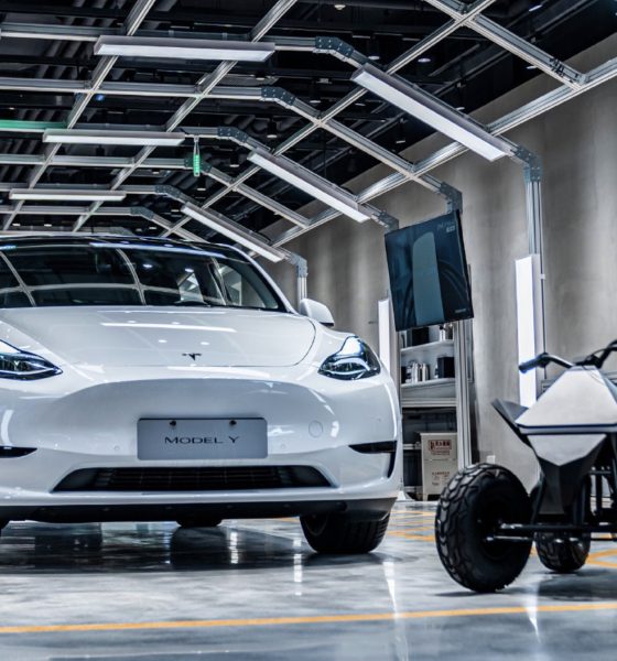 Tesla-model-y-china-sales