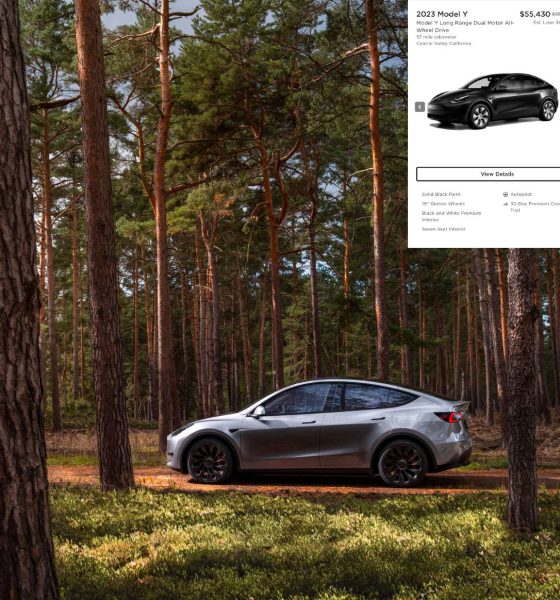 Tesla-model-y-model-3-price-decrease