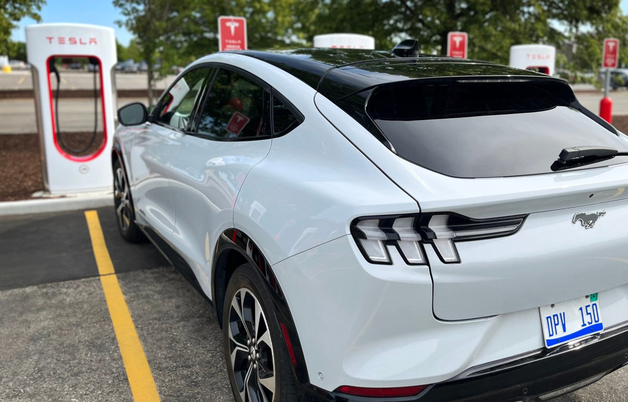 ford mustang mach-e at tesla supercharger