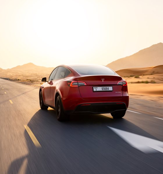 Tesla model y from rear