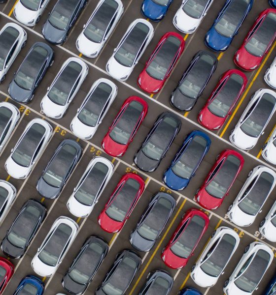 tesla model y fleet in a parking lot