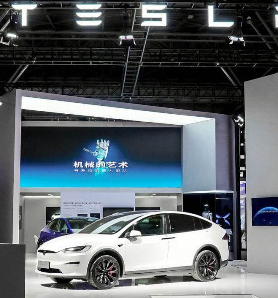 Tesla-referral-program-united-states-china