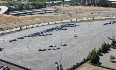 tesla fremont production stoppage