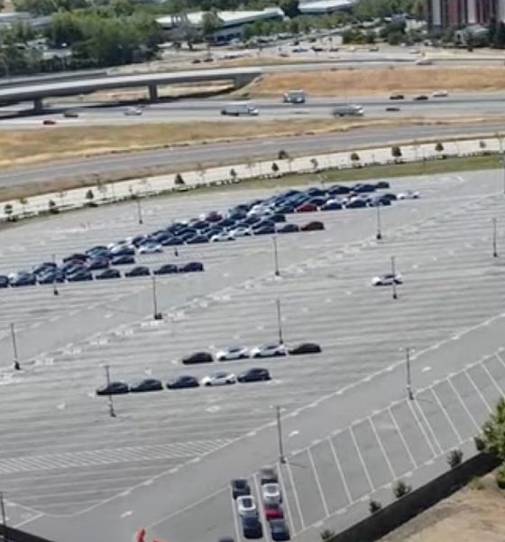 tesla fremont production stoppage