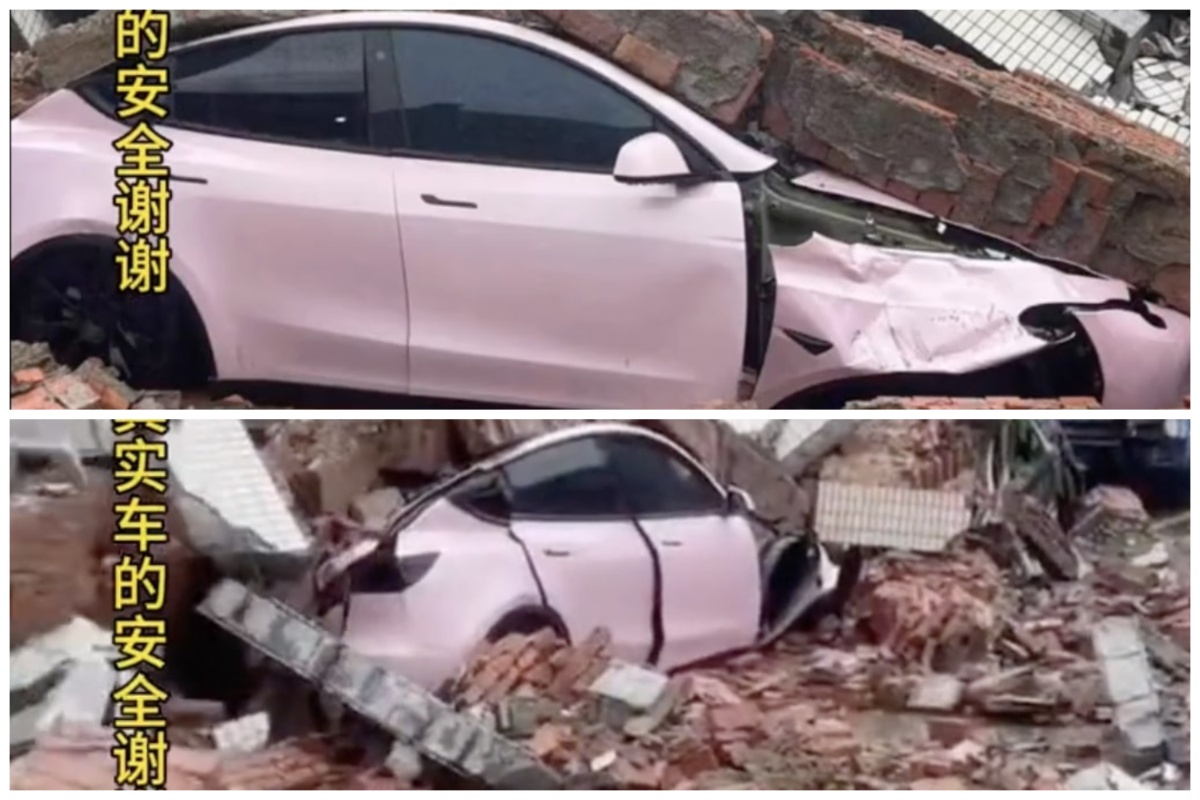 Tesla Model 3 roof gets its real world elephant strength test and
