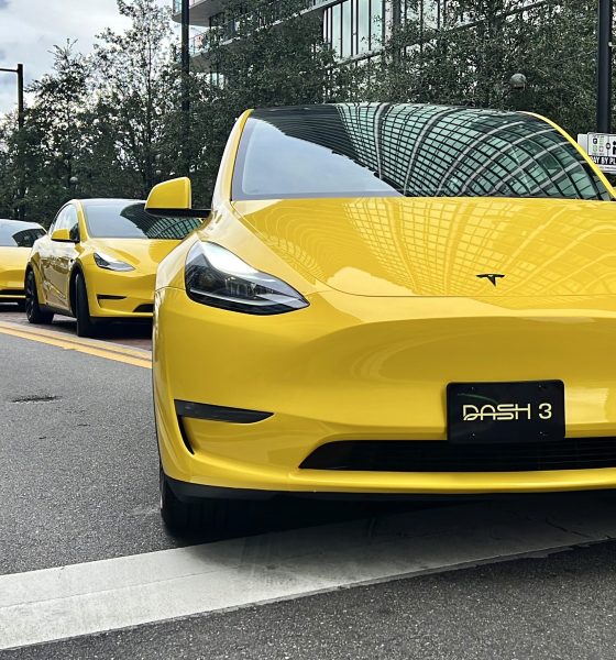Tesla-model-y-tampa-dash-transit-service-1
