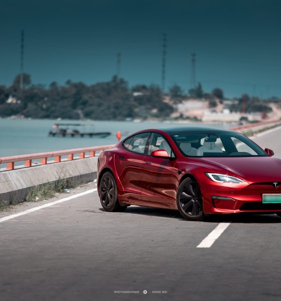 Tesla-sweden-license-plate-IF-metall-strike