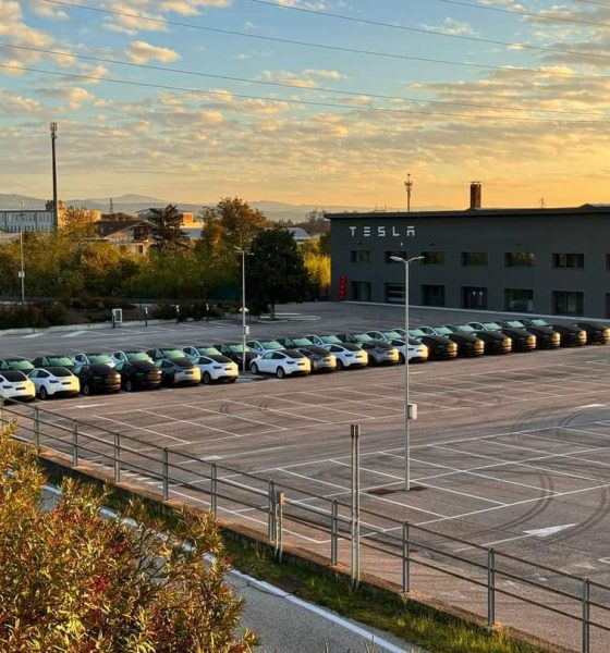 Tesla-italy-verona-center-celebration