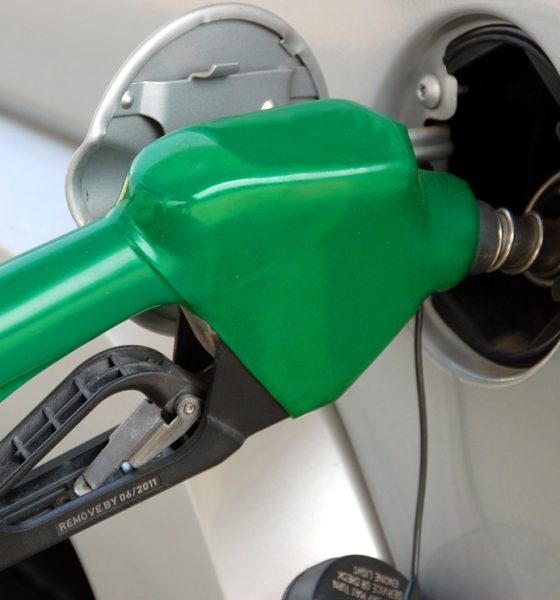 New-jersey-gas-car-ban-2035