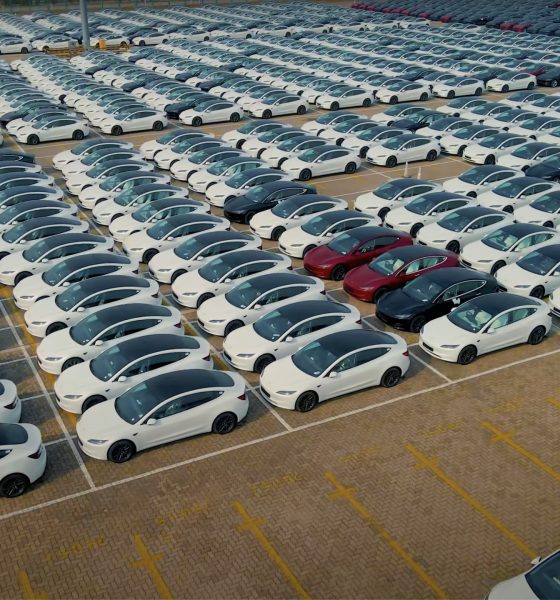 Tesla-tsla-investor-if-metall-collective-agreement