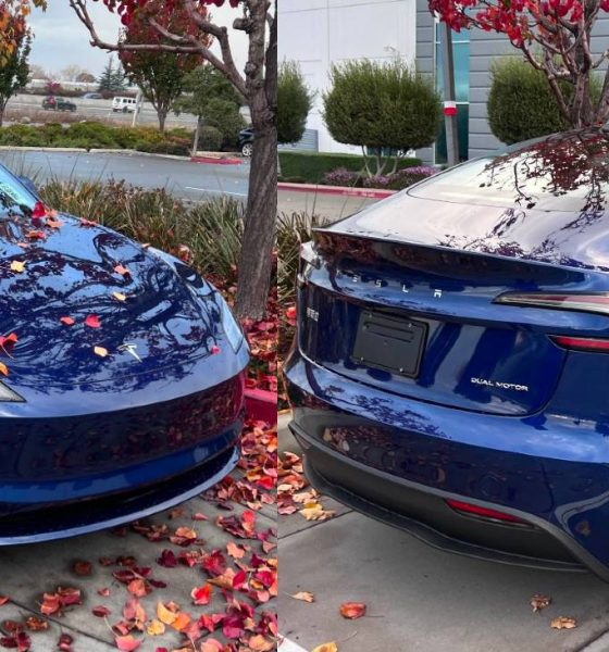 Tesla-model-3-highland-fremont-delivery-q1-2024
