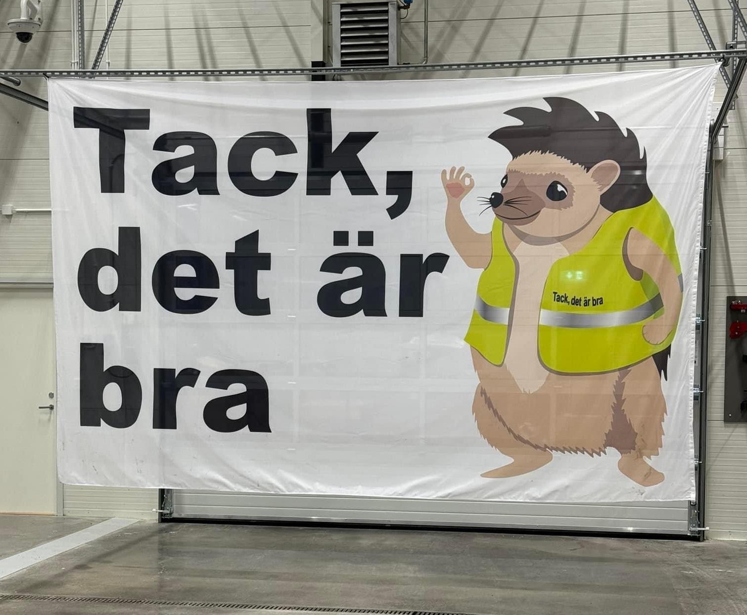tesla-sweden-poster