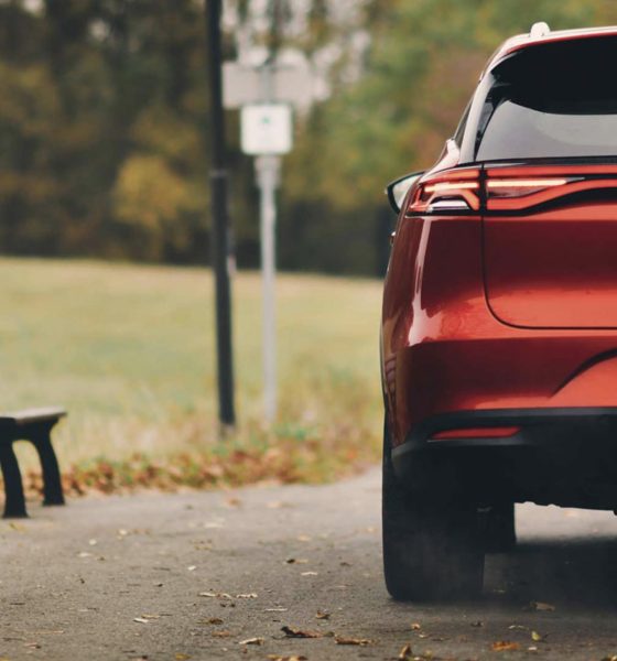 BYD-Europe-vs-Volkswagen-Stellantis-Tesla