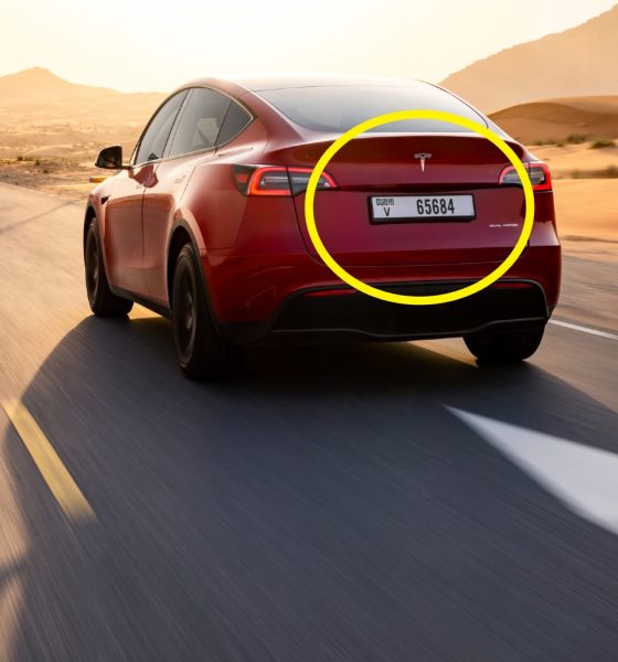 tesla model y rear