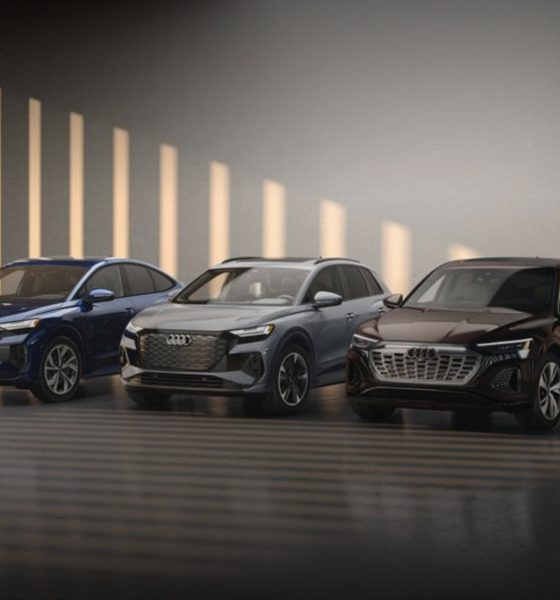 Electric-vehicle-phobia-south-korea-fire