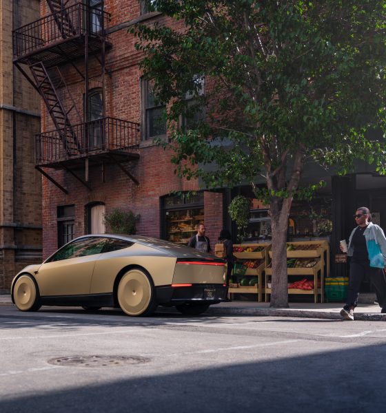 tesla robotaxi