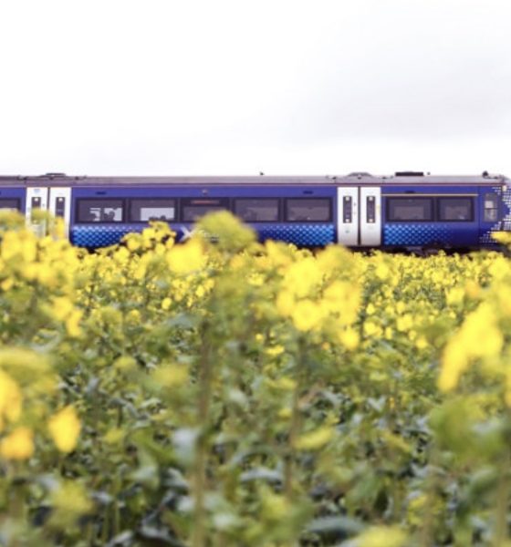 starlink-trains-scotrail-debut