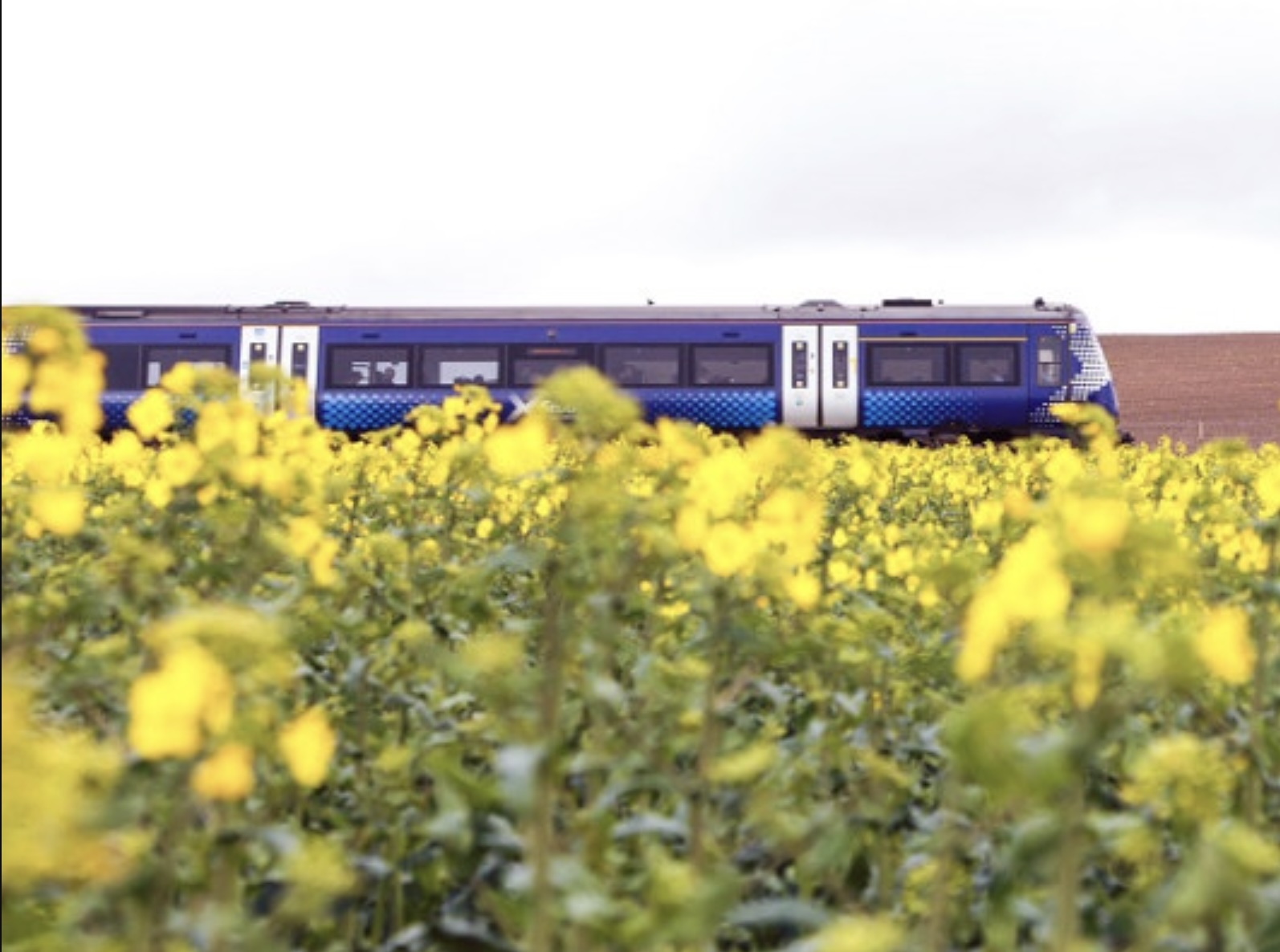 starlink-trains-scotrail-debut