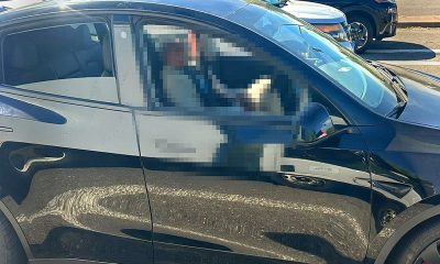 Tesla drives drunk owner, Police arrest on DUI [Credit: Vacaville Police via Facebook]