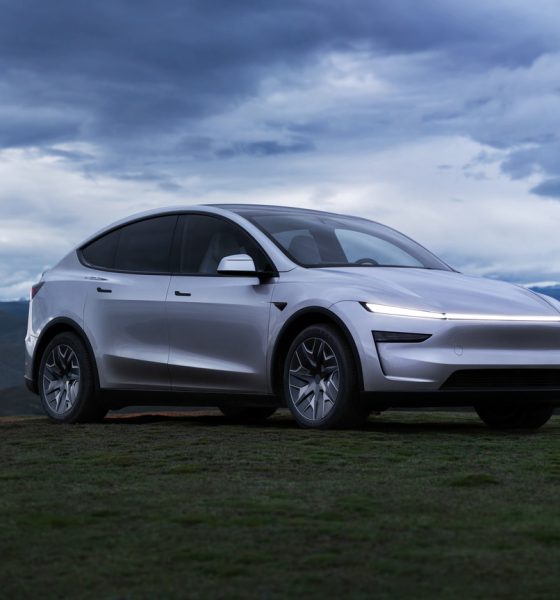 Tesla Model Y L in a field