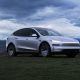 Tesla Model Y L in a field